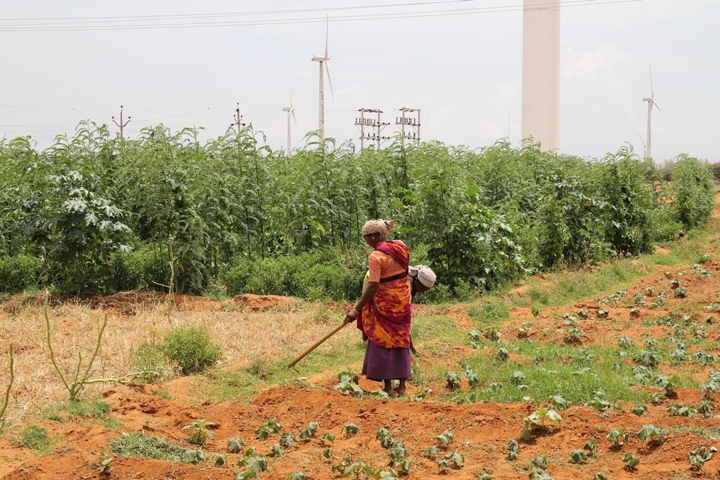 Renewable Energy | India